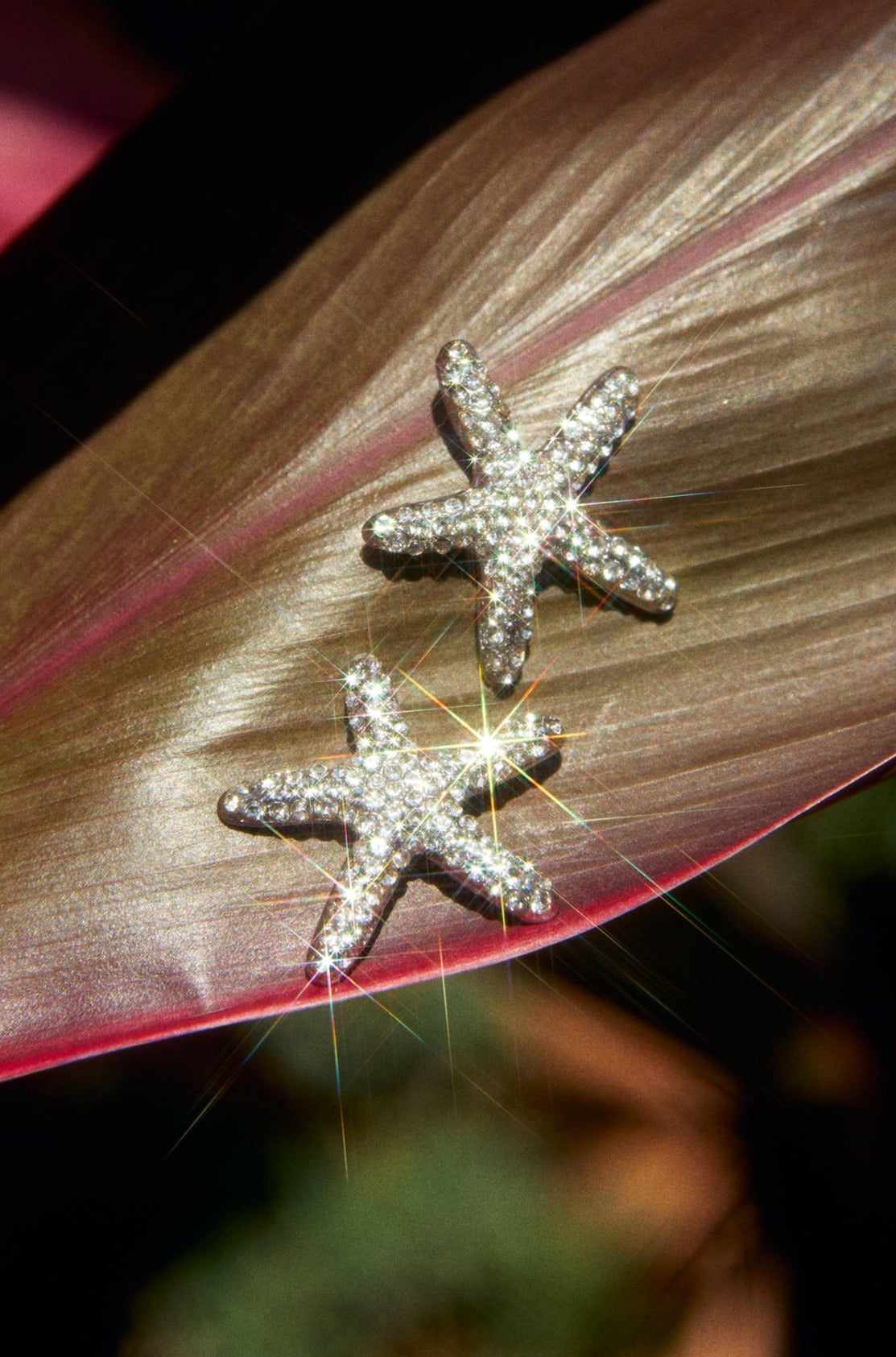 Stellar Night Embellished Starfish Earrings - Silver